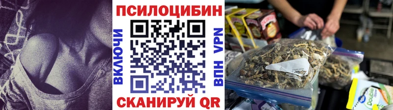 купить закладку Невьянск площадка какой сайт Псилоцибиновые грибы мицелий